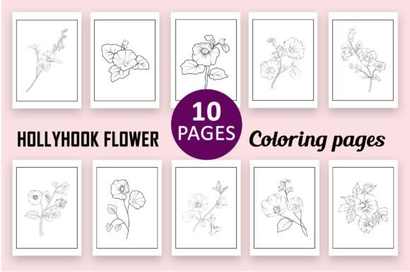 Hollyhock Graphics: A Designer's Review for Branding & Packaging